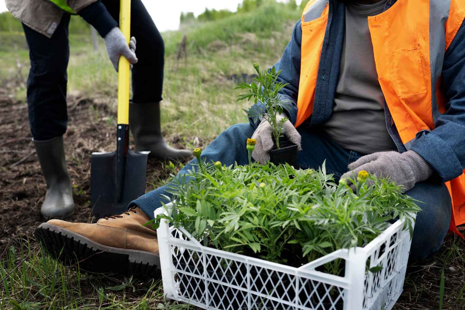 Professional Tree Service in Dellwood, MO